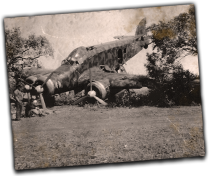 GFX_report_event_ITA_air_crash